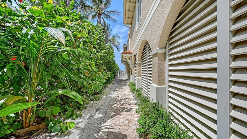 Tropical entry walk way