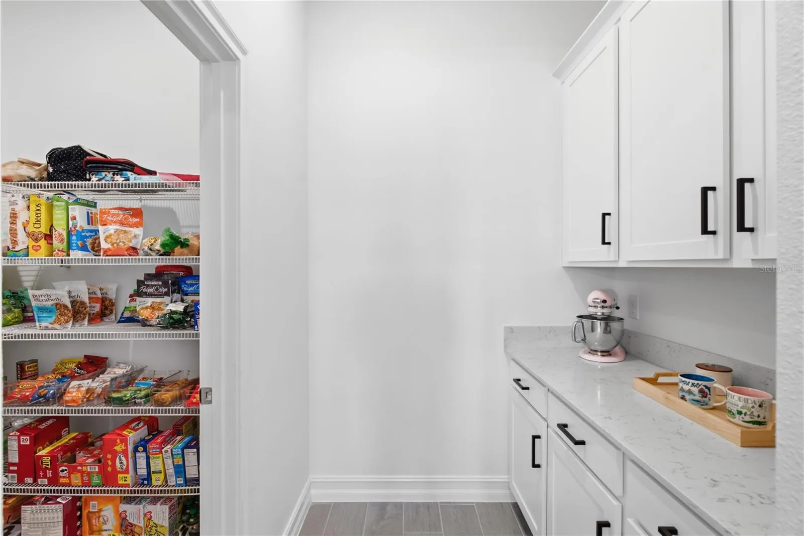 Butler's pantry/walk in pantry