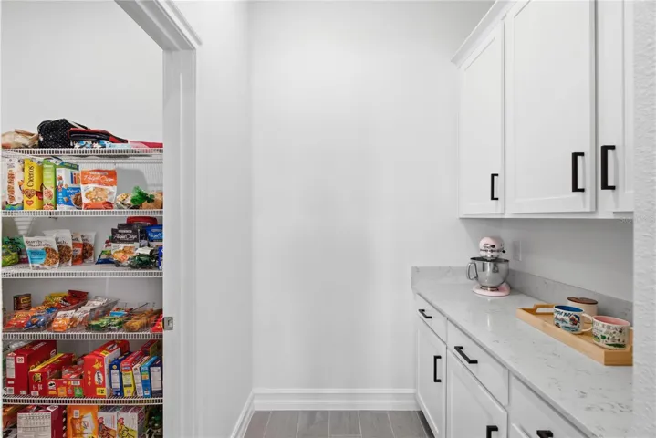 Butler's pantry/walk in pantry