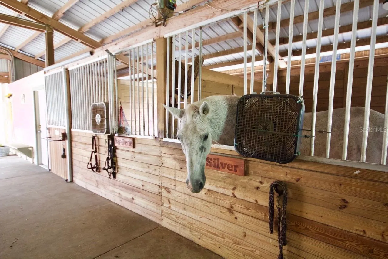Horse Stables