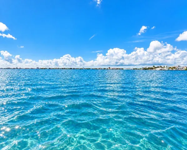 virtual Blue water