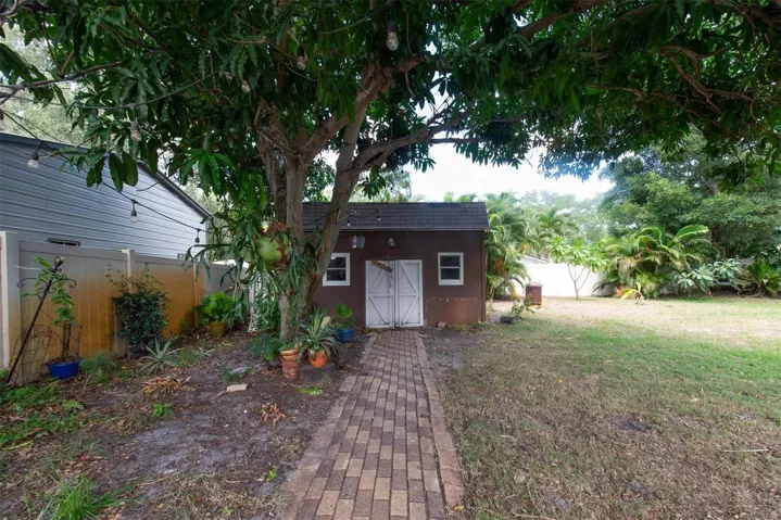Shed for extra storage