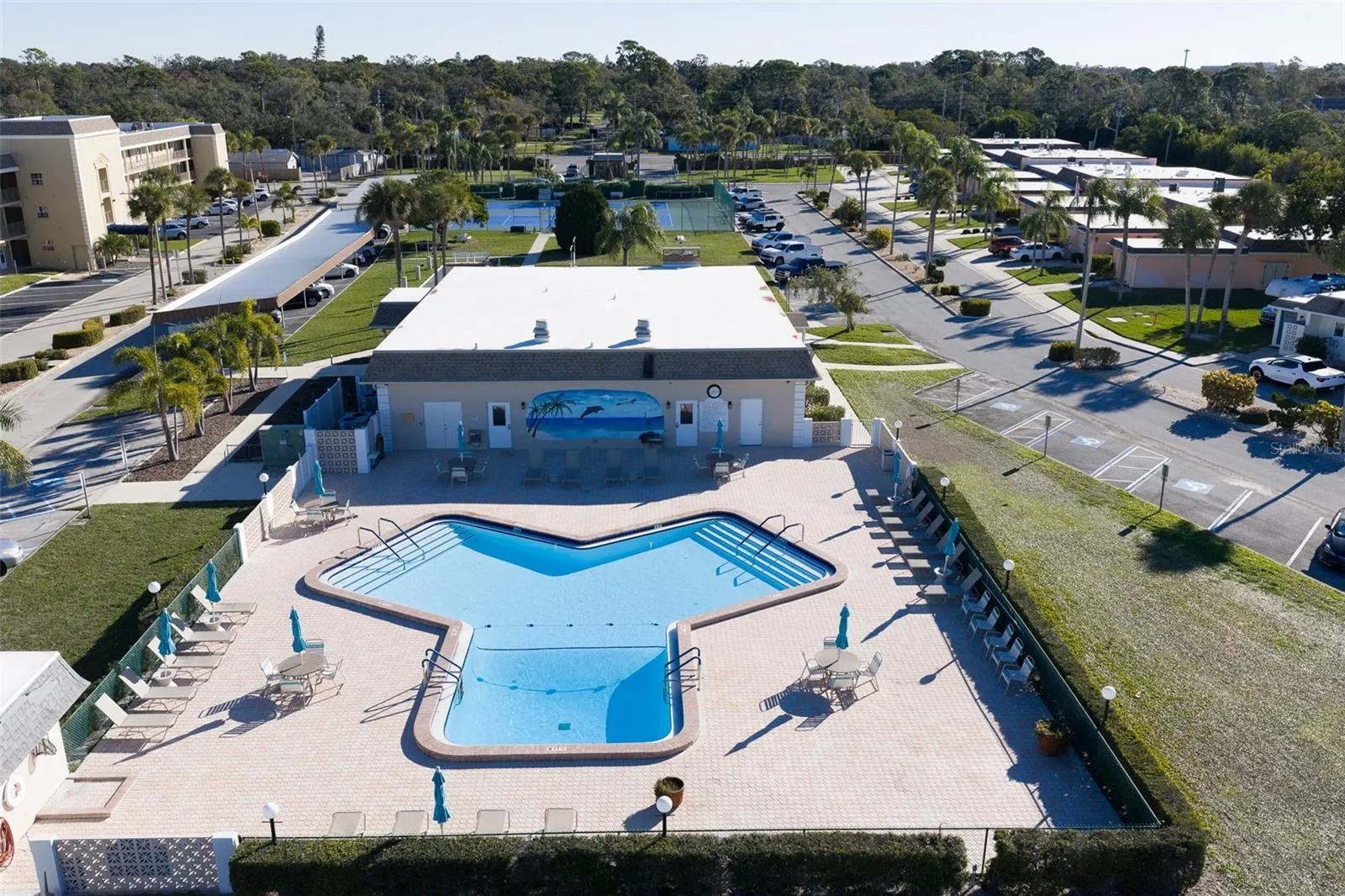 Aerial view of the pool