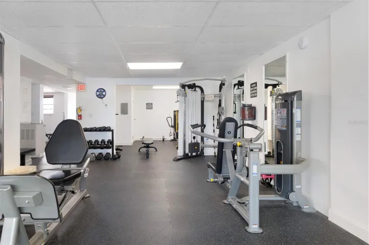 Large Exercise Area divided.
