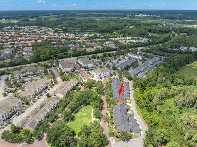 Aerial View on conservation lot