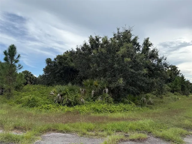 Large corner lot