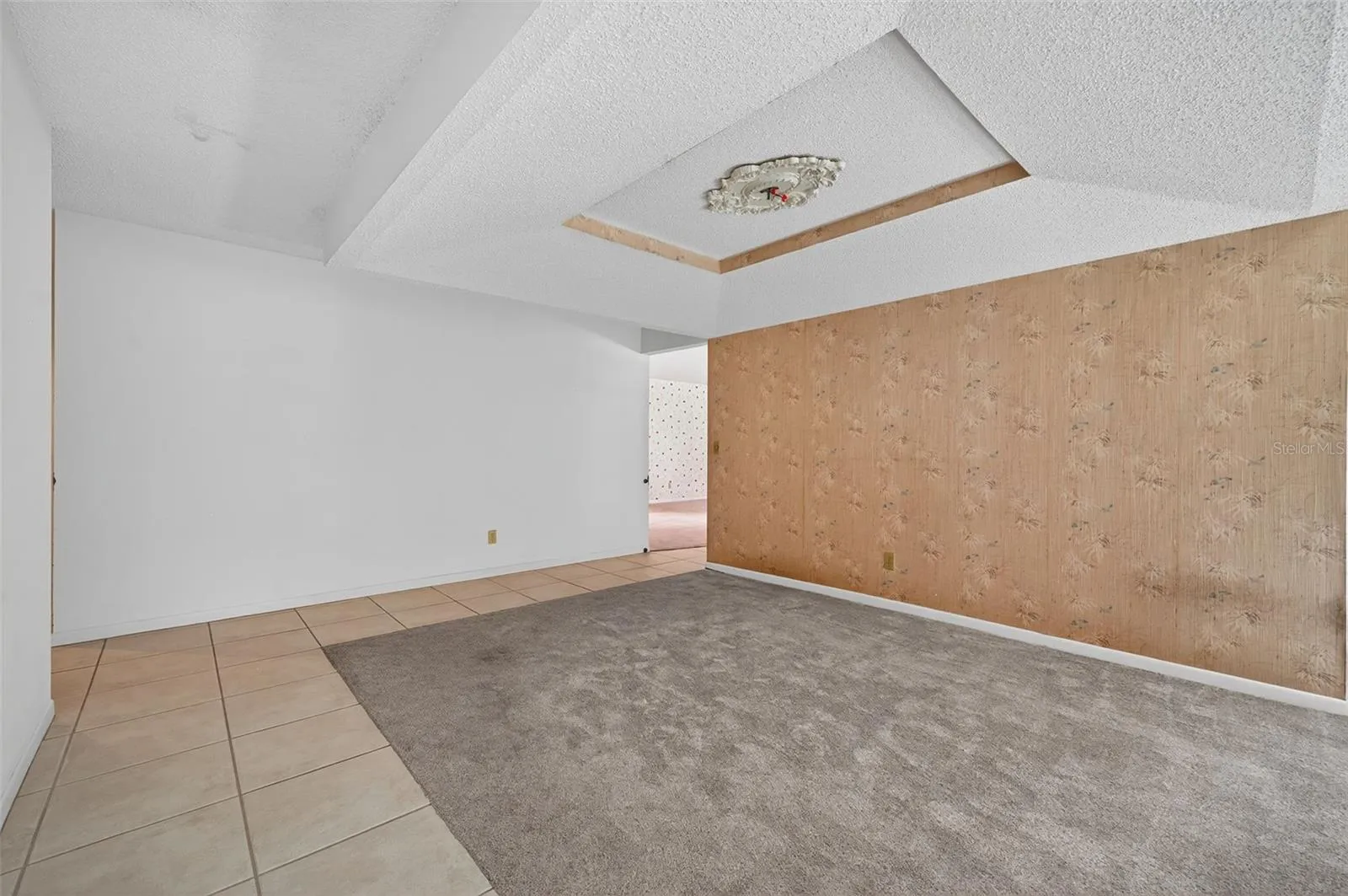 4206 Kipling Ave, Plant City, Florida 33566 — photo 13