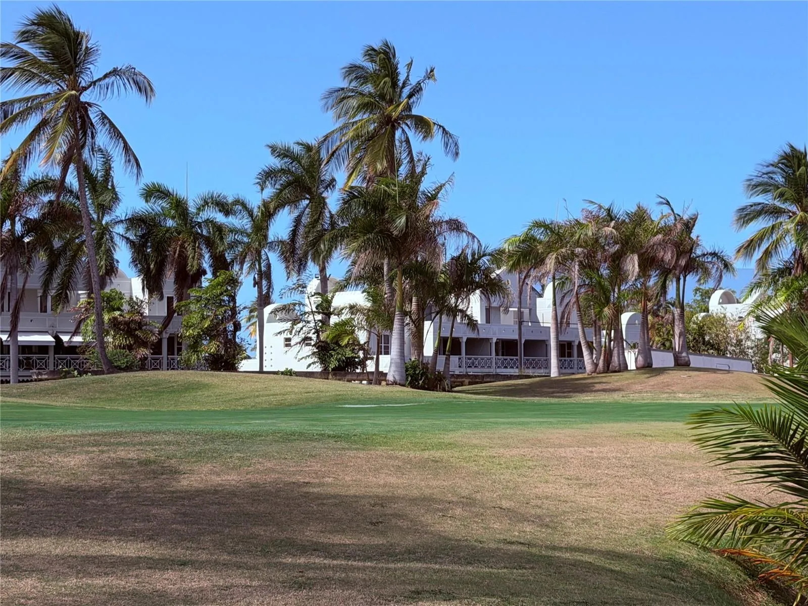 Golf course