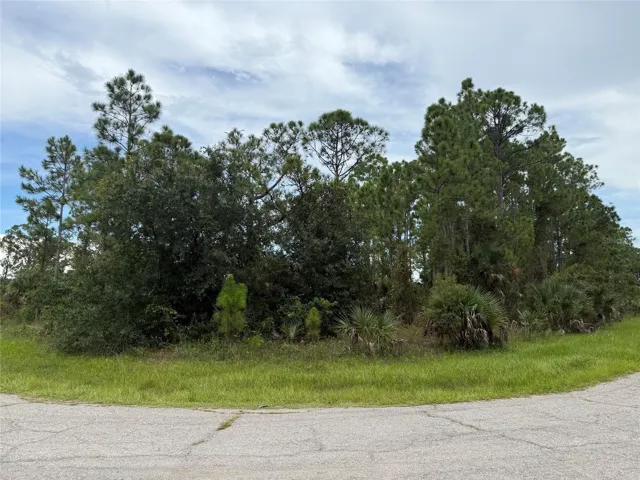 Large Corner Lot!