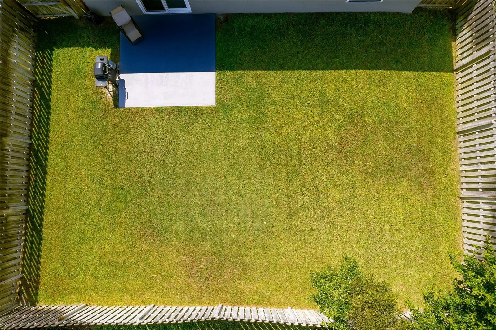 Backyard-fully fenced