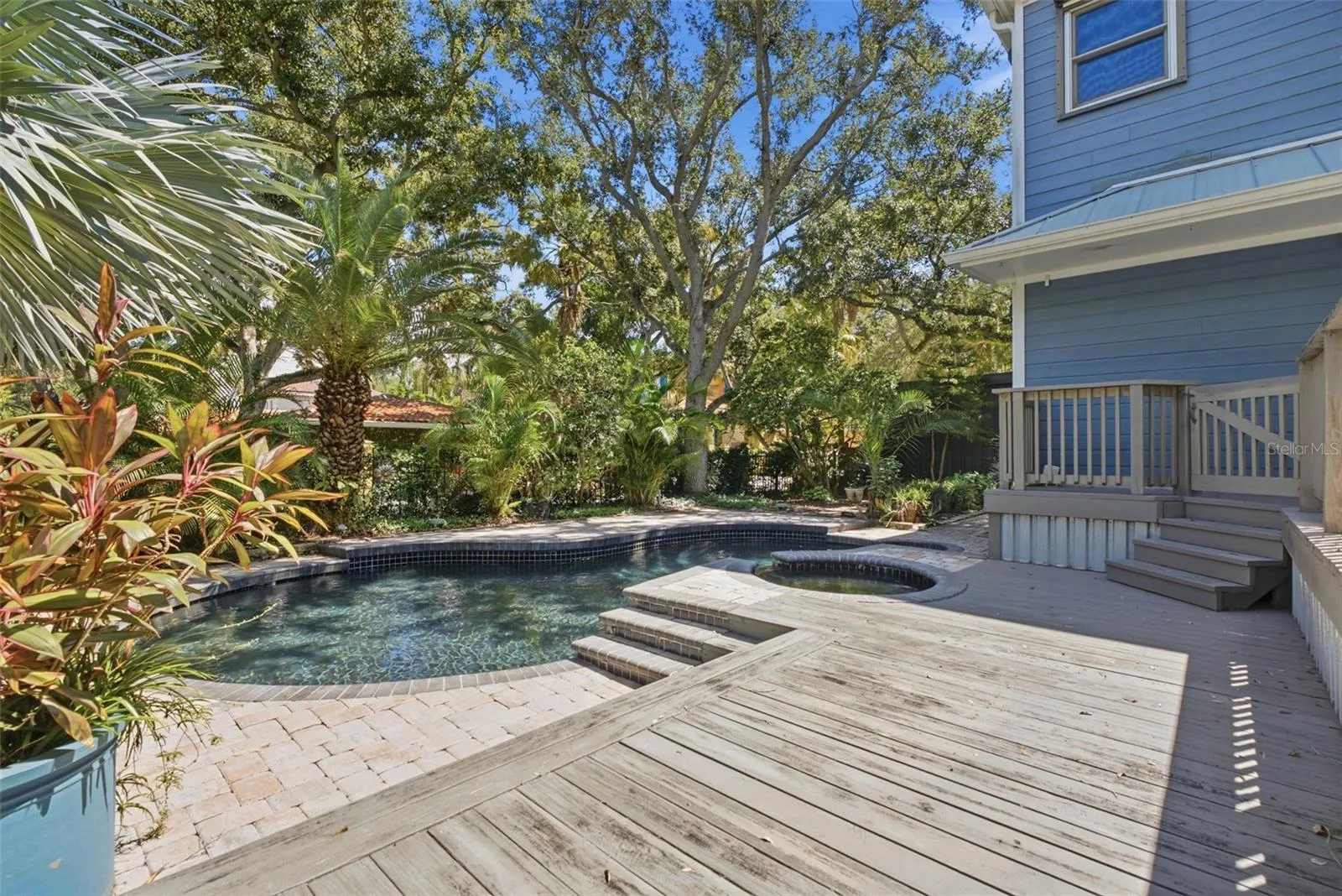 Tropical Florida setting