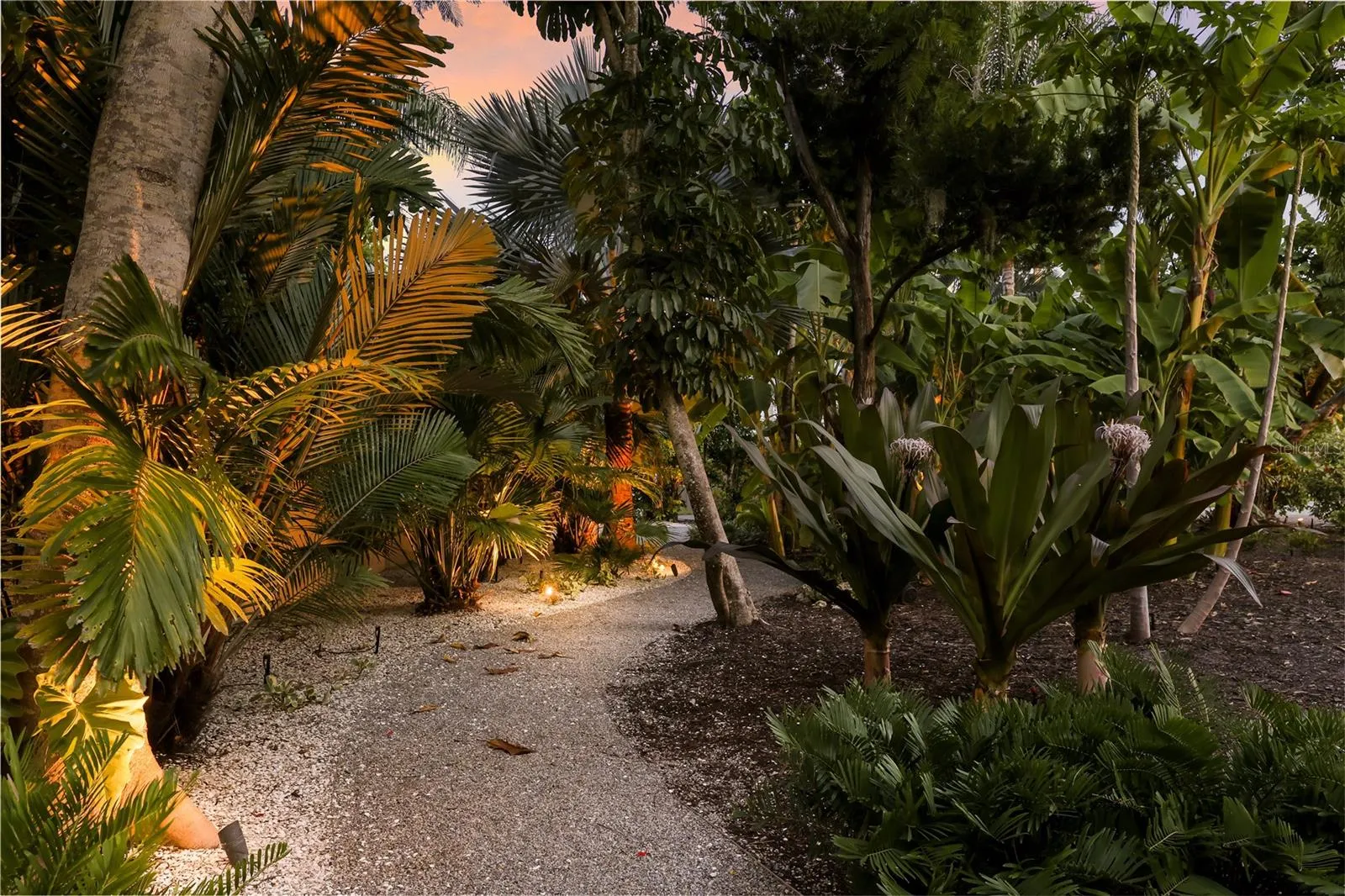 Beautiful butterfly garden and sanctuary