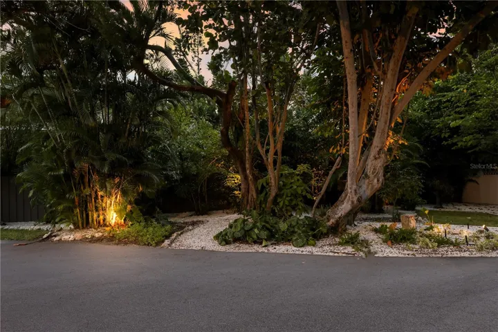 Secondary butterfly garden