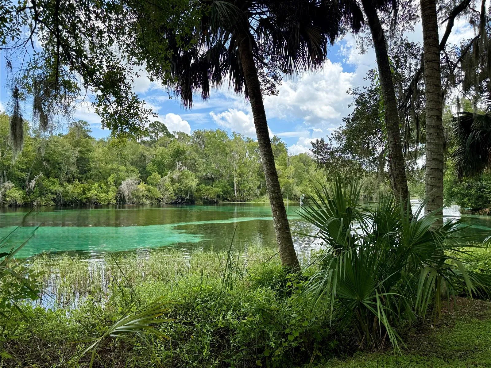 Rainbow River View from Private Beach