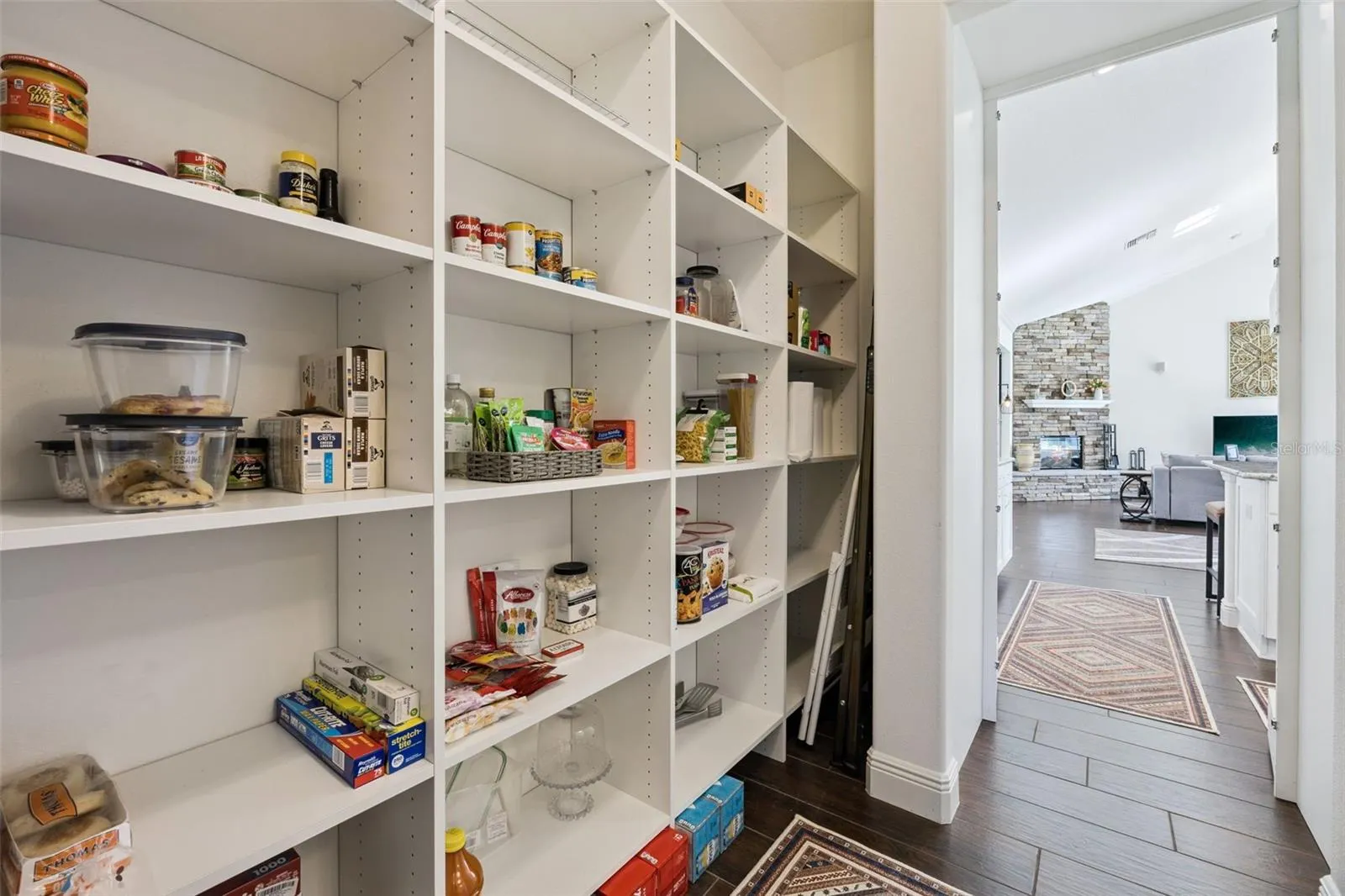 Hidden Pantry (Behind Builtin Cabinet Doors)