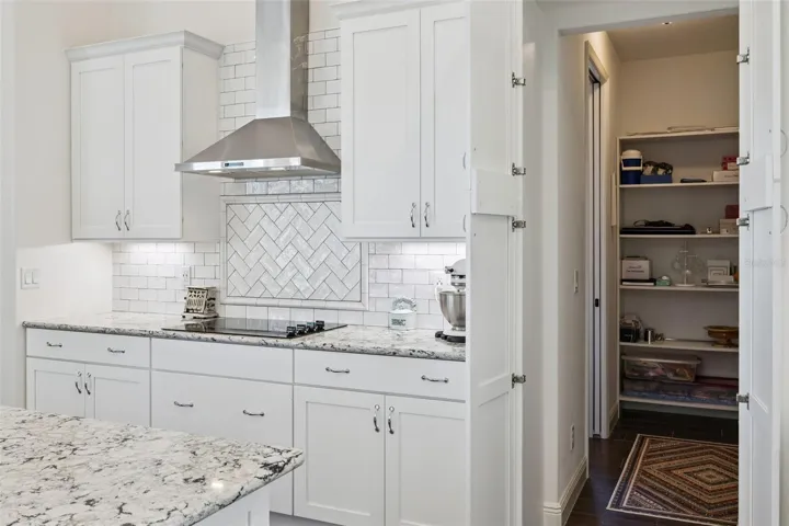 Hidden Pantry (Behind Builtin Cabinet Doors)