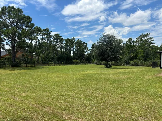 Fenced Back Yard