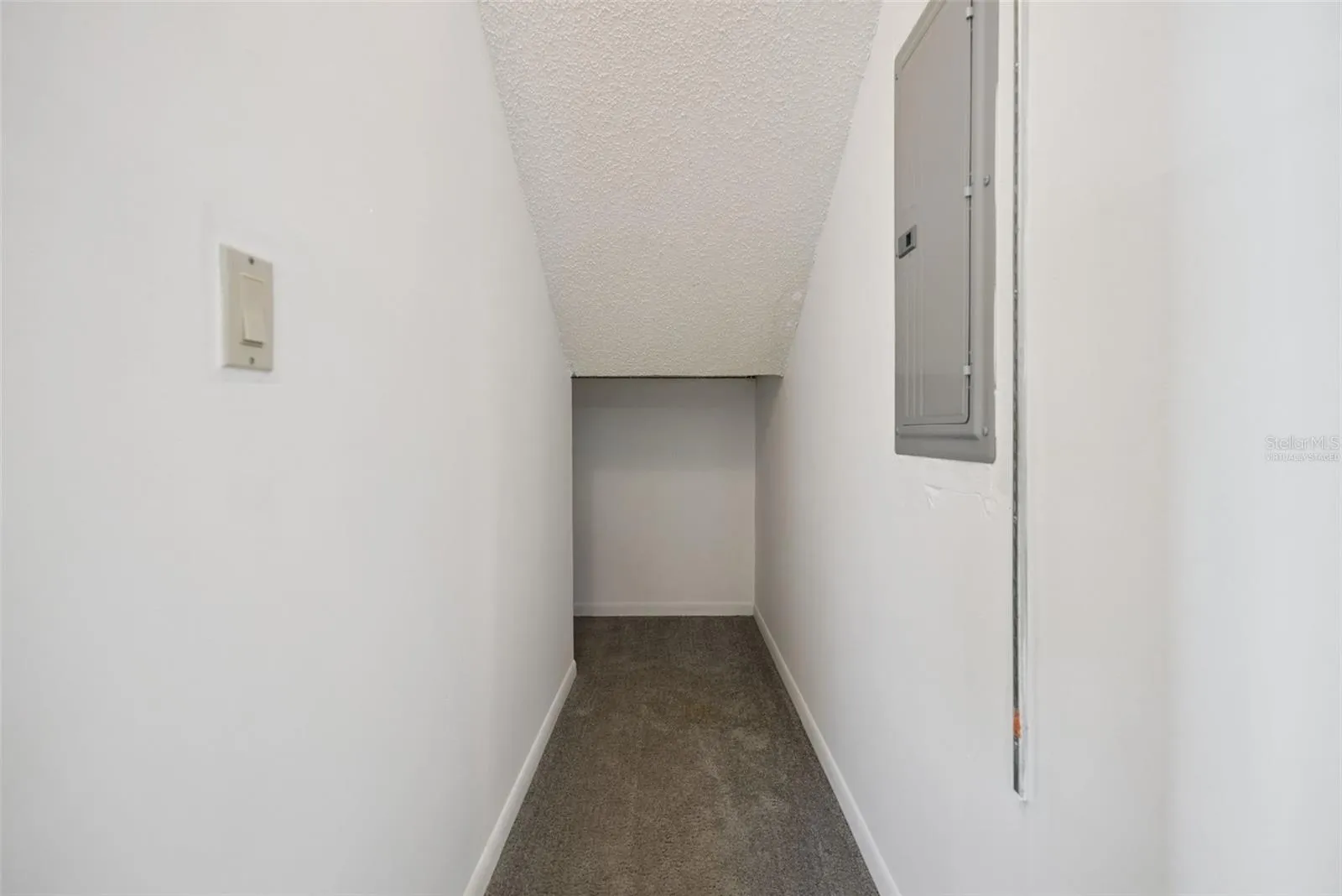 Storage closet under stairs