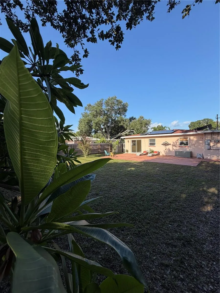 Backyard/West