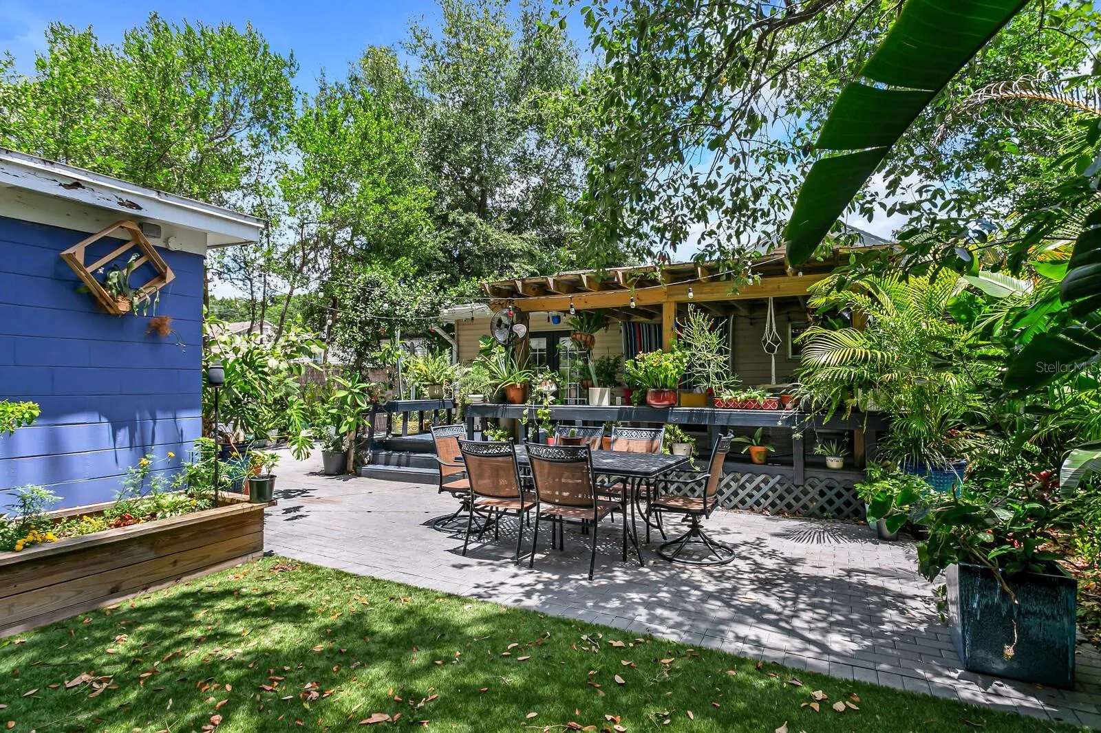 Back Yard Area