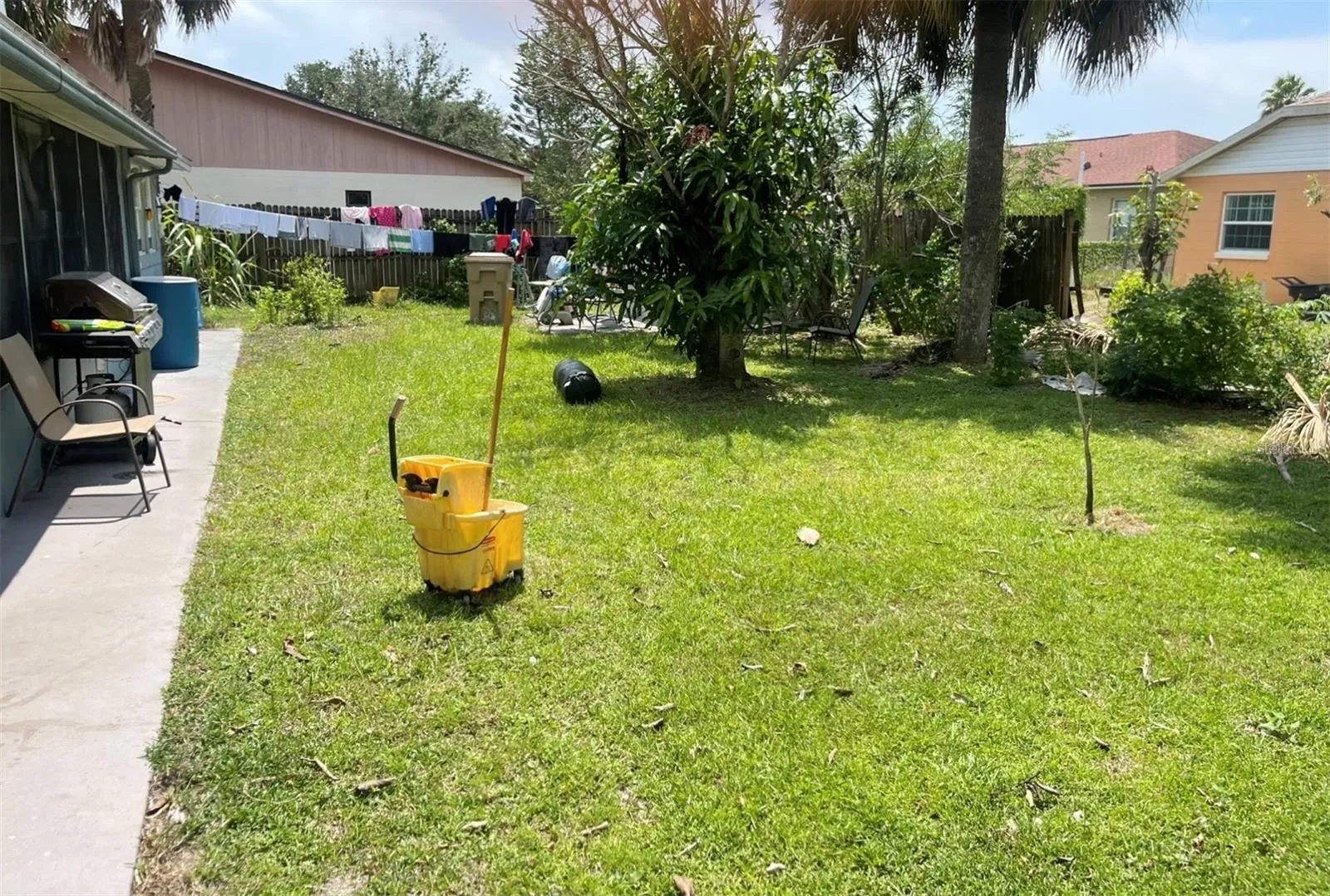 Backyard