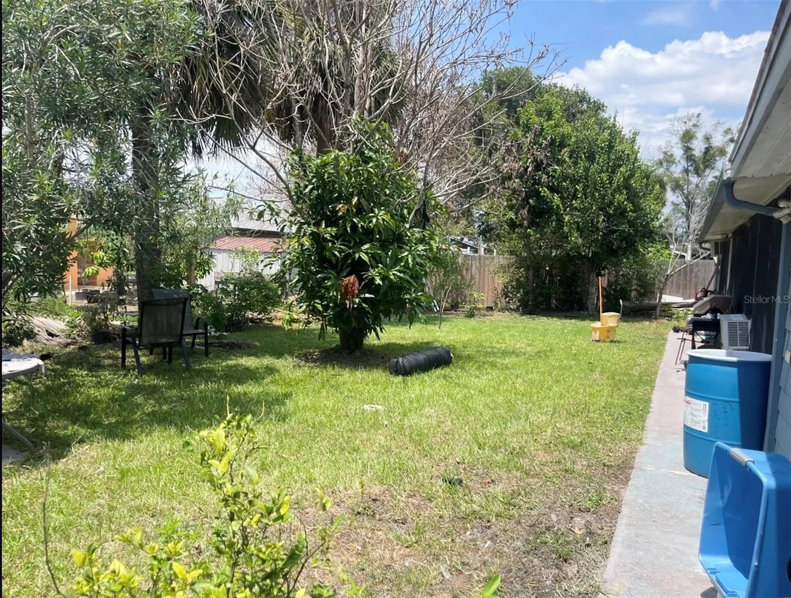 Backyard