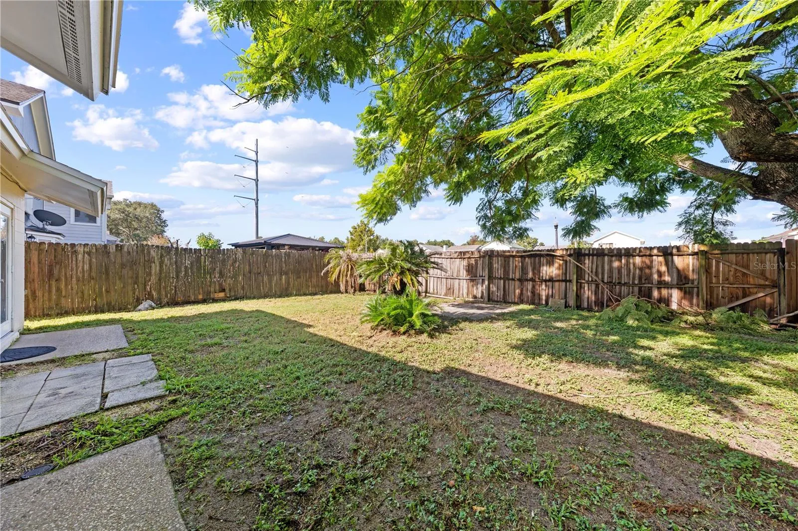 Backyard