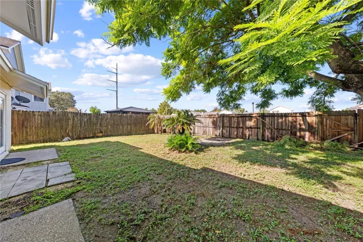 Backyard