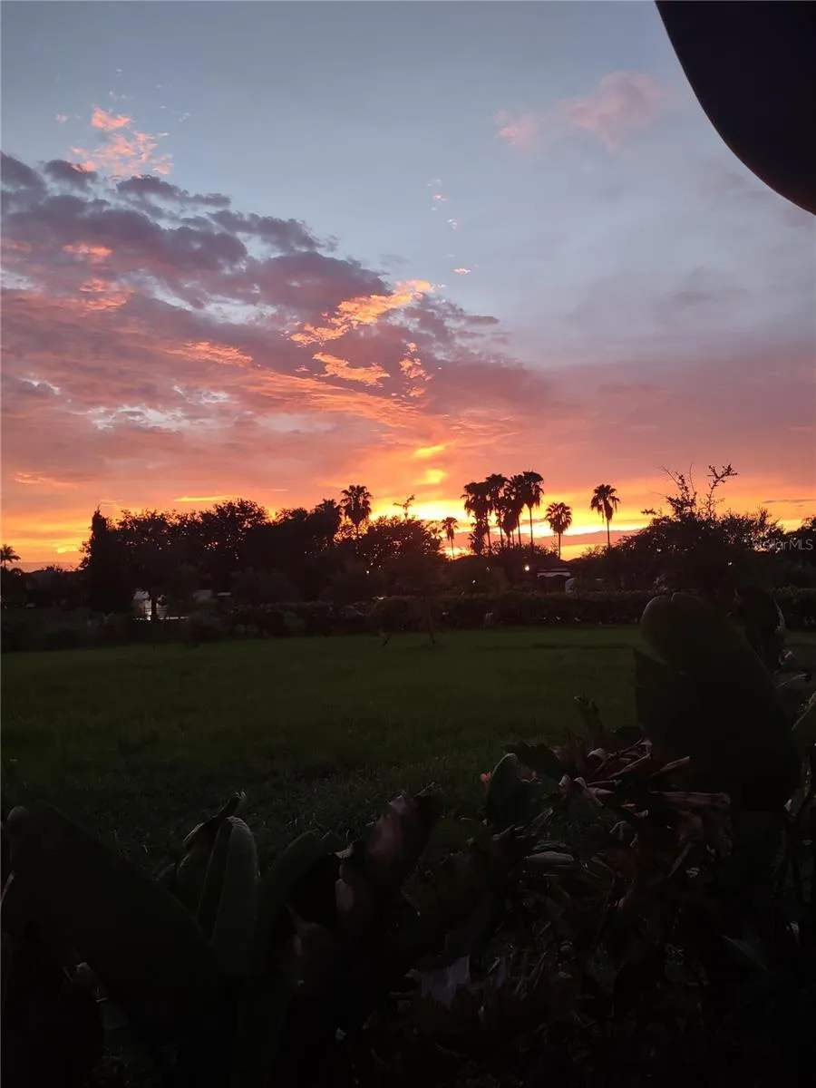 From the back porch, amazing sunsets.