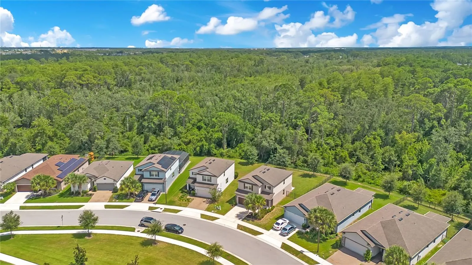 Aerial of Neighborhood and Conservation Area