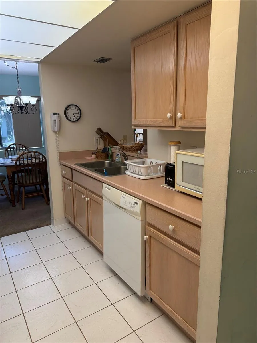 Kitchen Sink Area