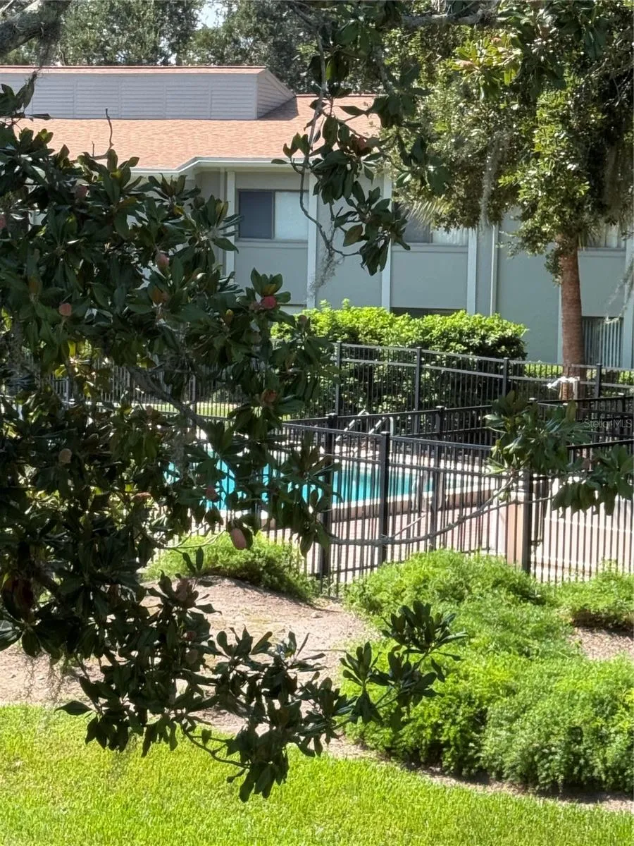 Pool View from Florida Room Close-up