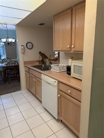 Kitchen Sink Area