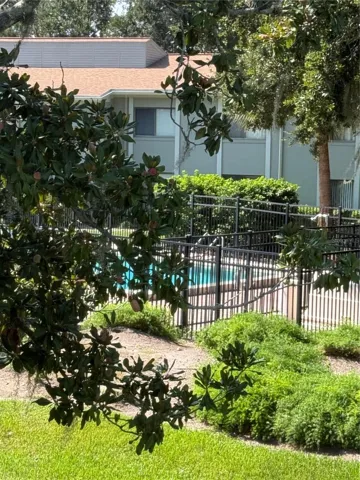Pool View from Florida Room Close-up