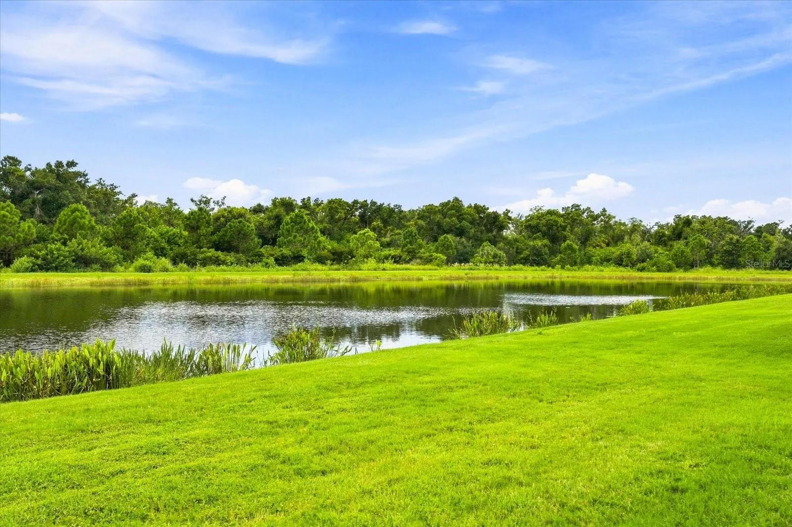 WATER VIEW TO PRESERVE