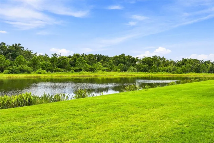 WATER VIEW TO PRESERVE