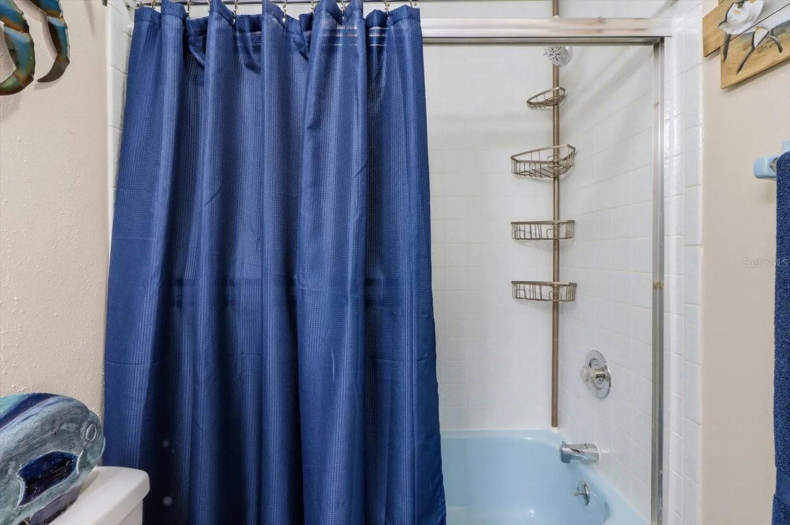 Tub and shower detail in the guest bathroom.