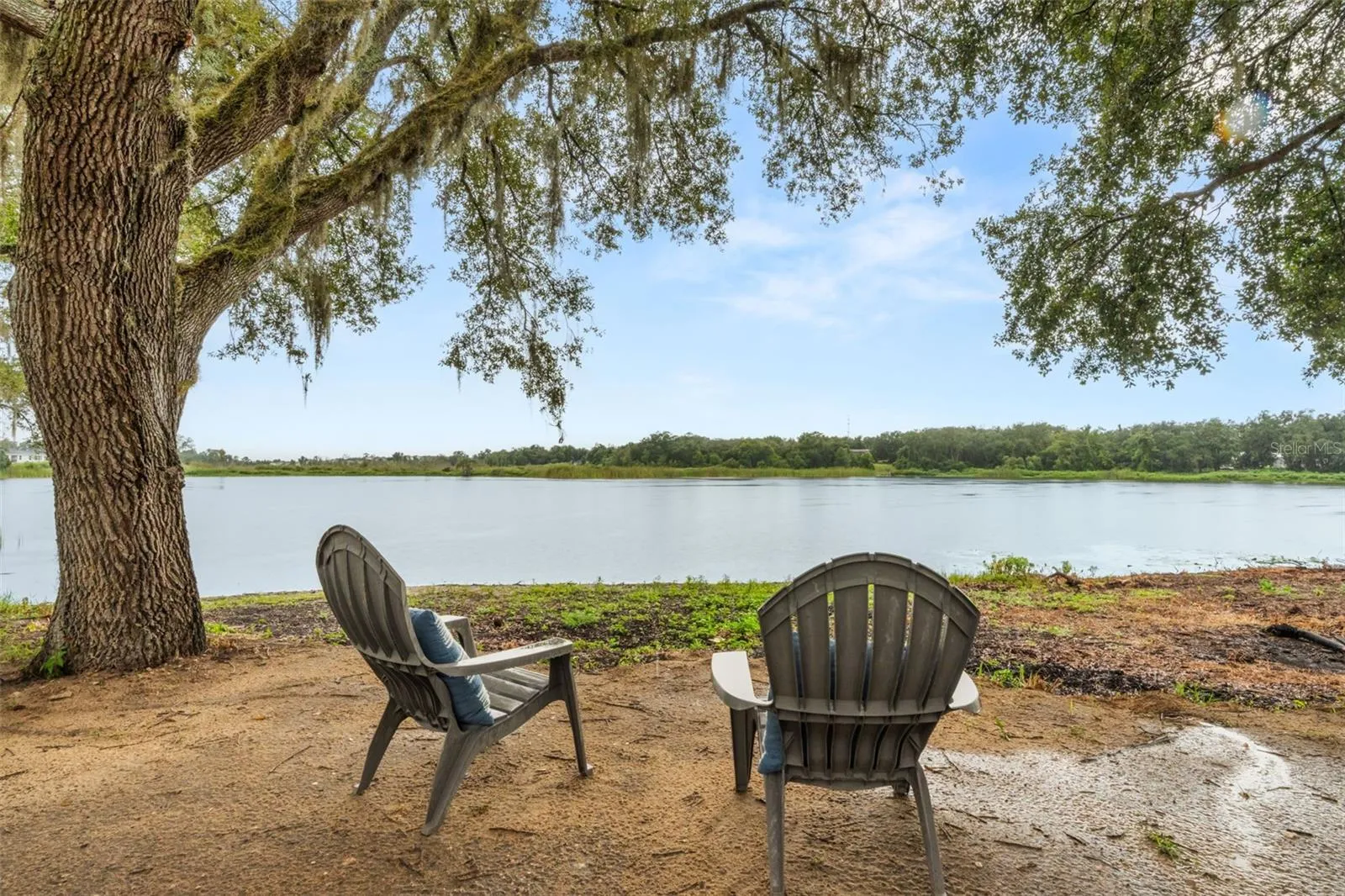 Lake View
