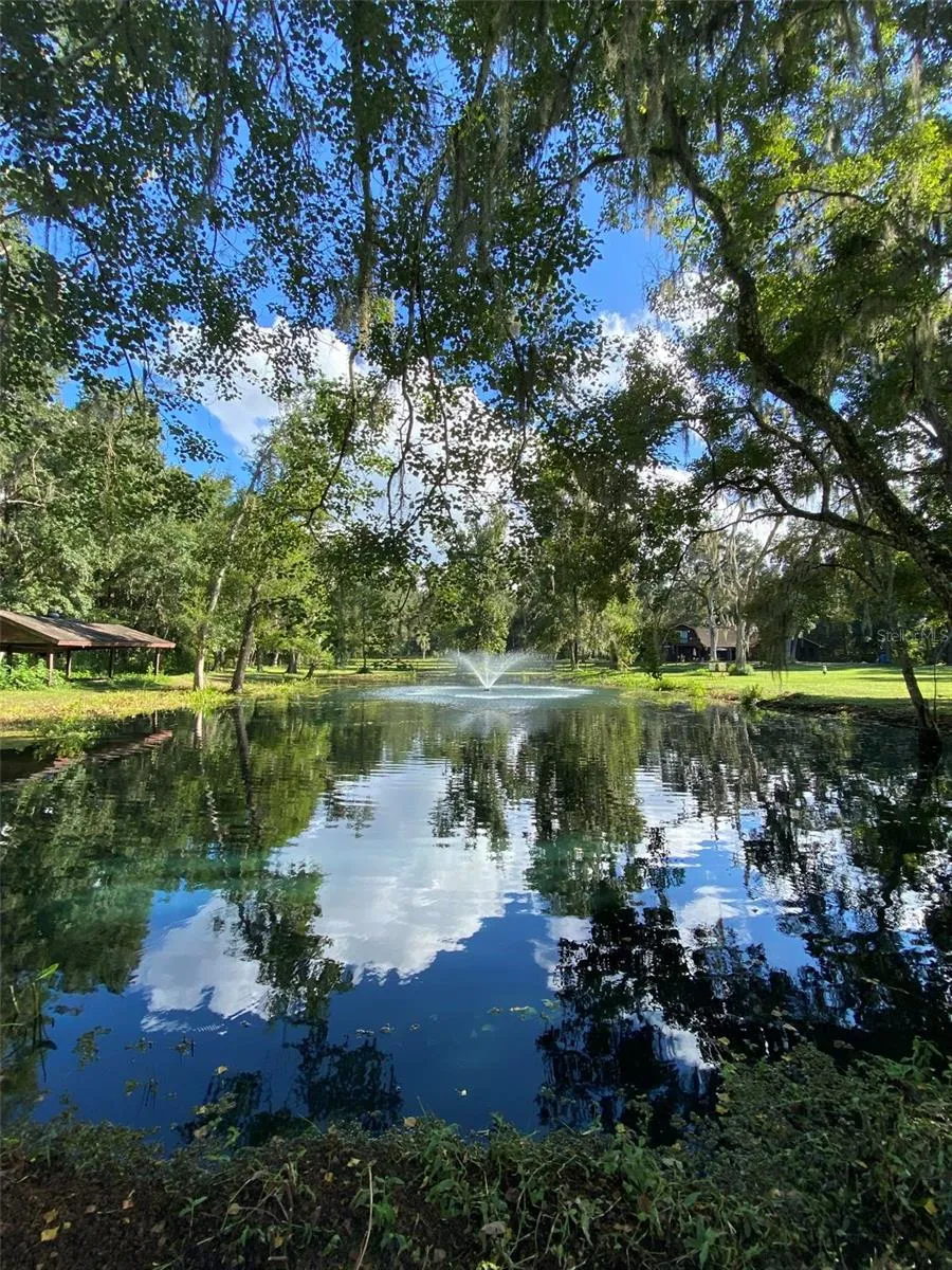 The Pond is in the process of being reverted to the image above.