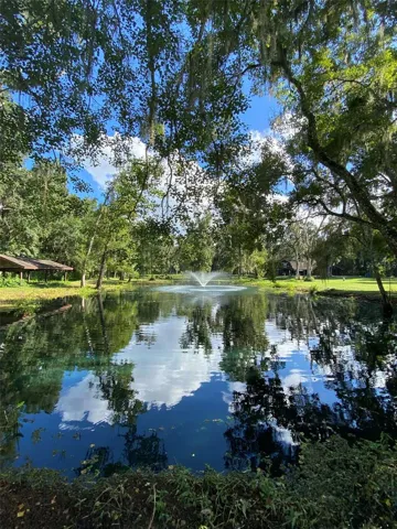 The Pond is in the process of being reverted to the image above.