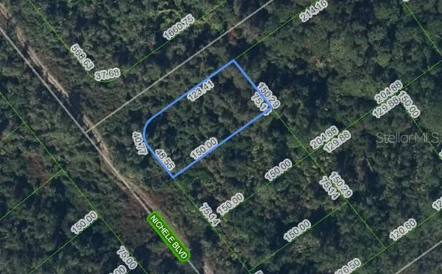 Wooded lot for sale, imagine yourself here!