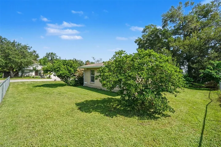Back/Side Yard
