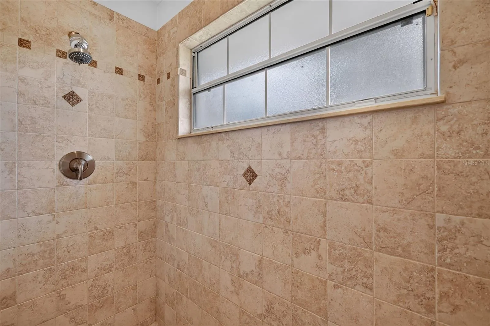 Primary Shower