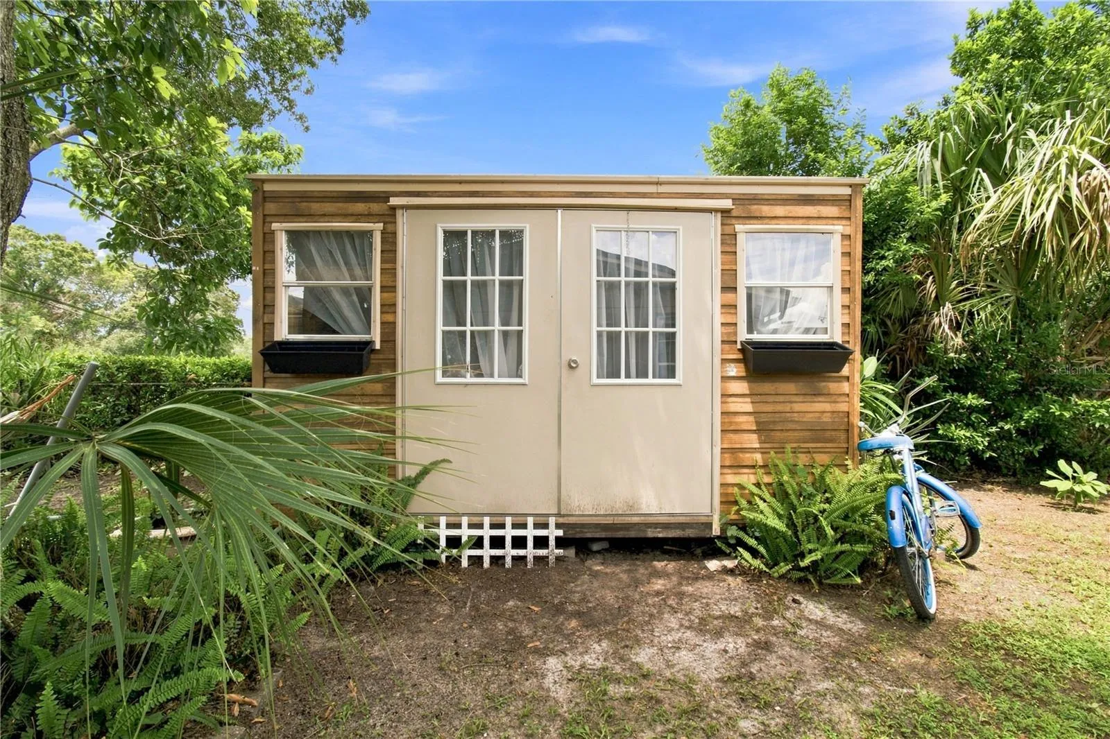 Shed