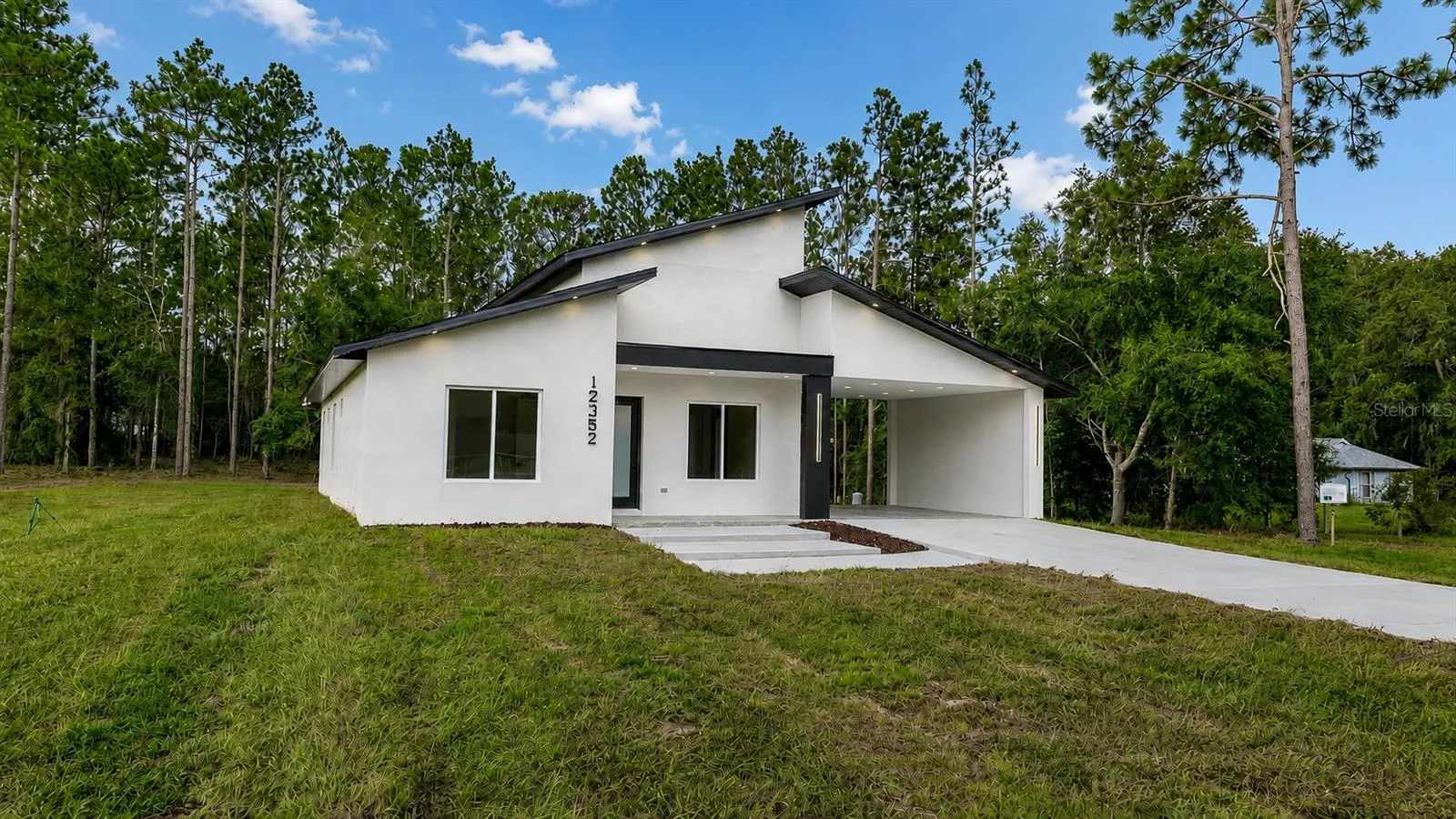 Architectural rooflines against pines