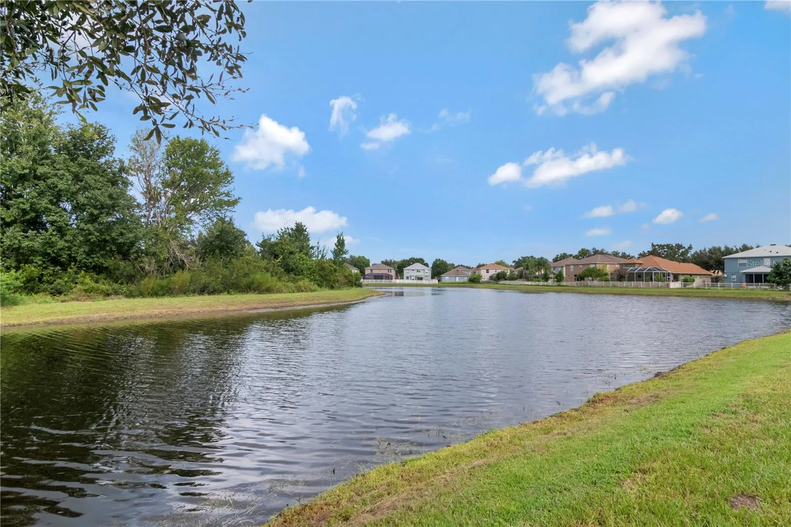 pond view