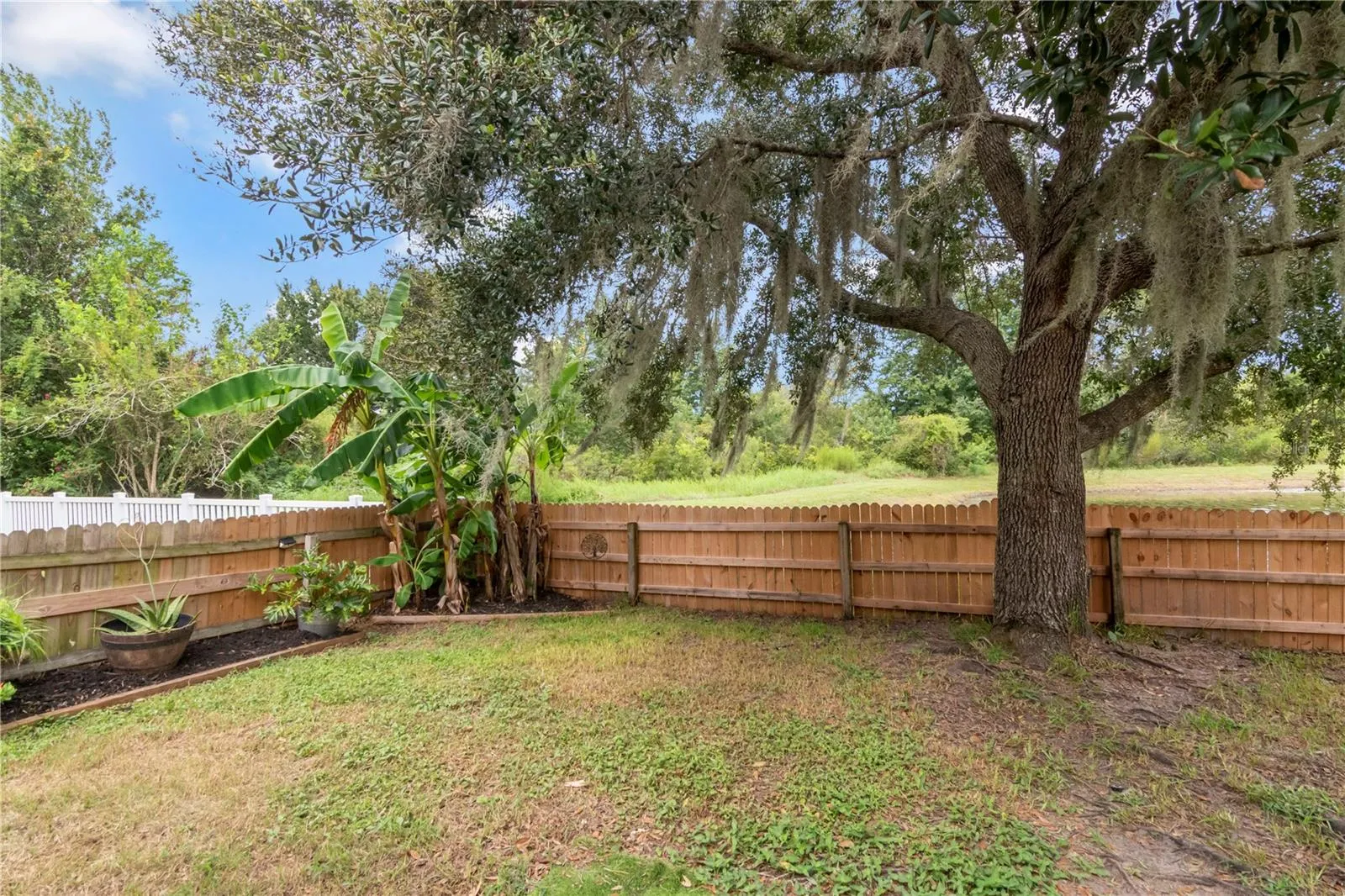 fenced backyard