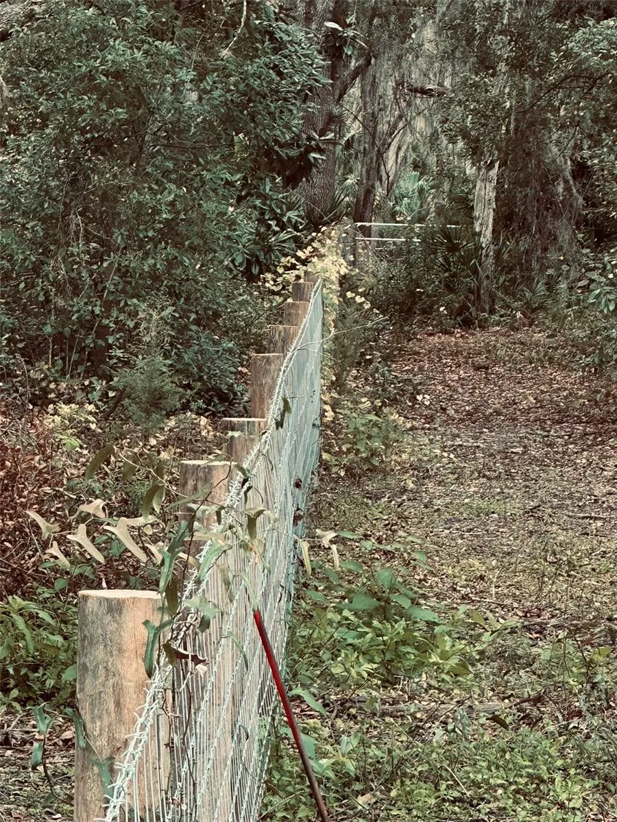 West Boundary Fence