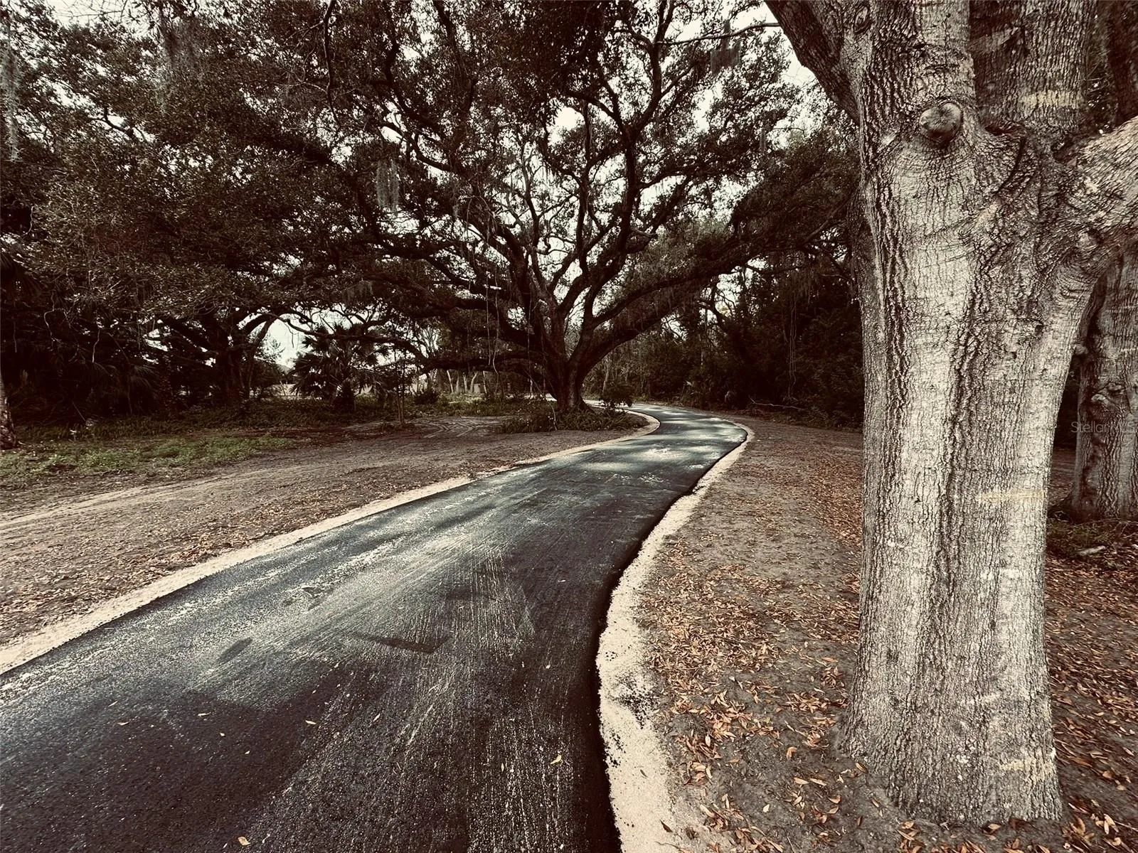 New asphalt looking toward entry off Hermosa.