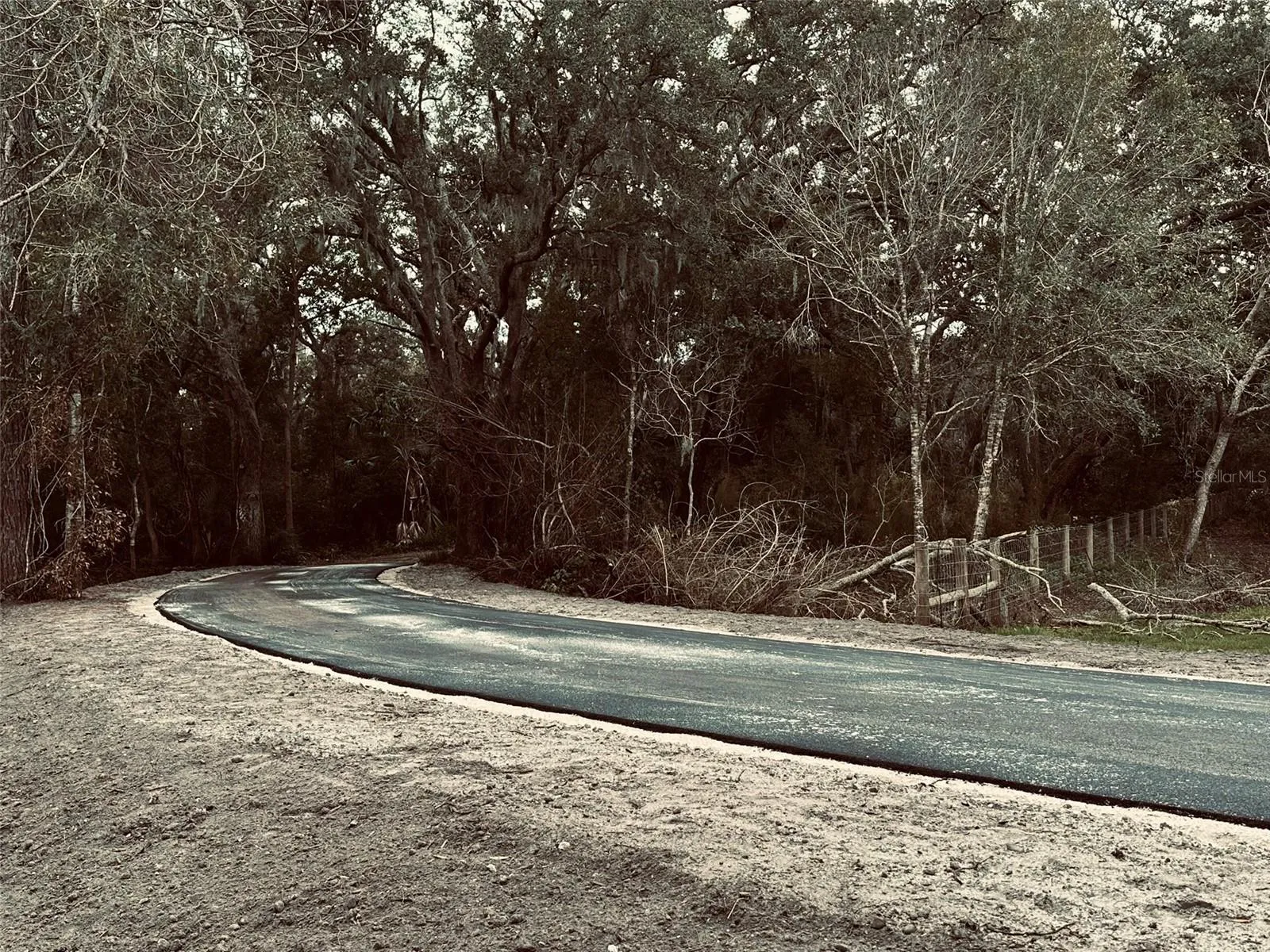 Standing at 4.2 acre West boundary Treeline and Fence. Proposed Gate location for new owners. Consider Delivery Locations and Trash.